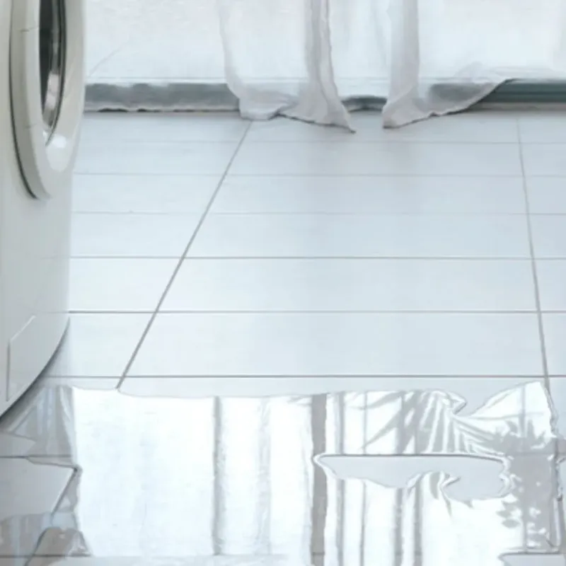 Appliance Leak Cleanup in Warrensburg, IL
