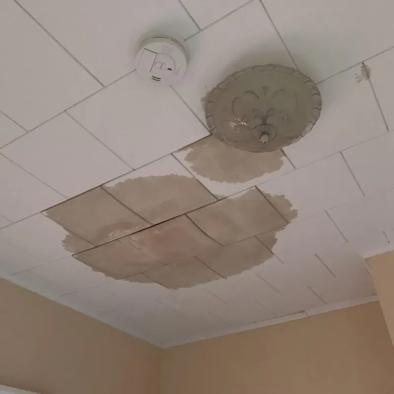 Ceiling Water Damage Repair in Warrensburg, IL