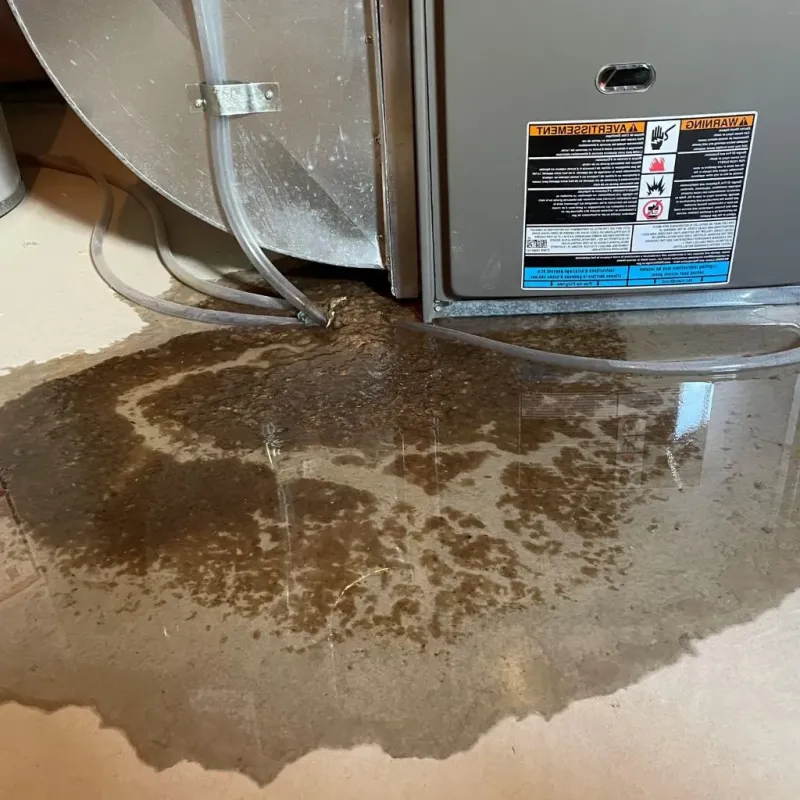 Pipe Burst and Leak Restoration in Warrensburg, IL