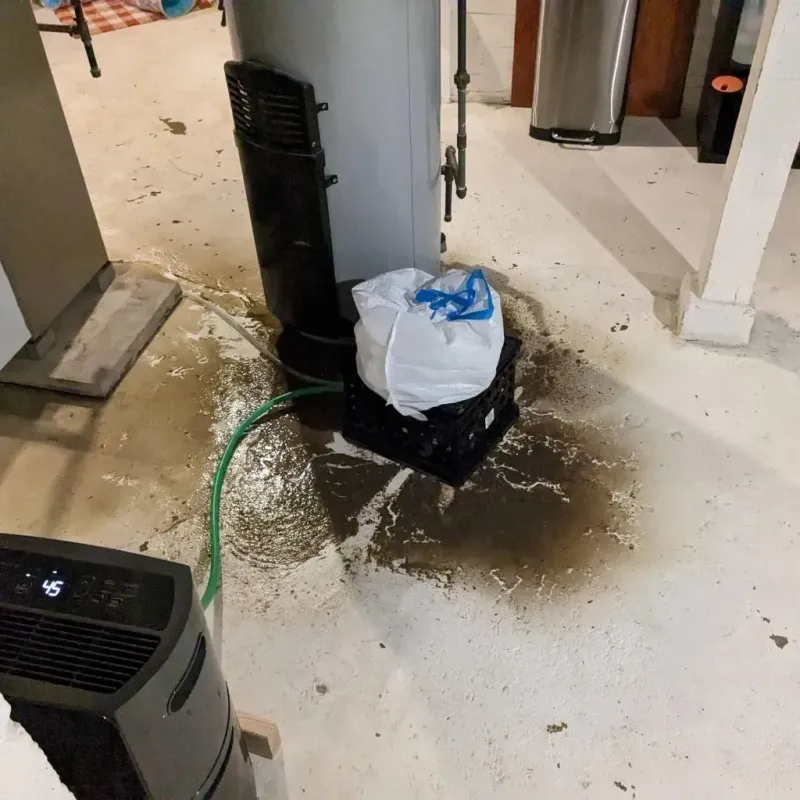 Sewage Backup Cleanup Service in Warrensburg, IL
